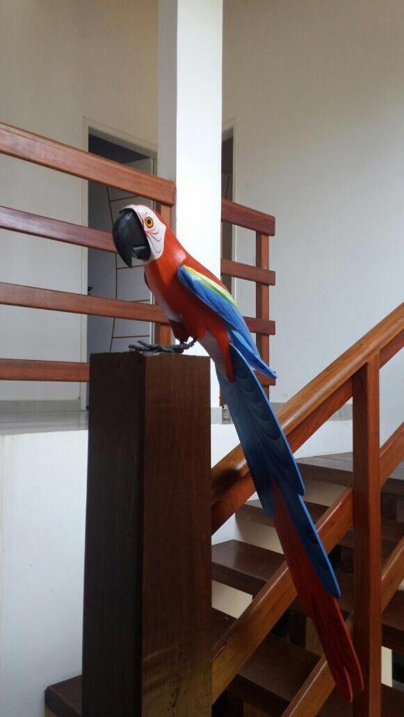 Casas Peroba Maragogiヴィラ エクステリア 写真